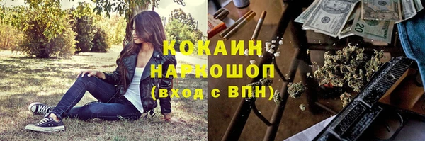 соль ск Медногорск