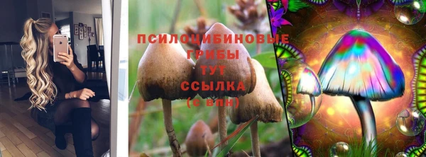 прущие крисы Медвежьегорск