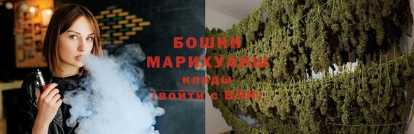 соль ск Медногорск