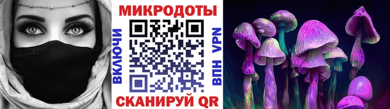 закладка  Пролетарск  Галлюциногенные грибы Cubensis 